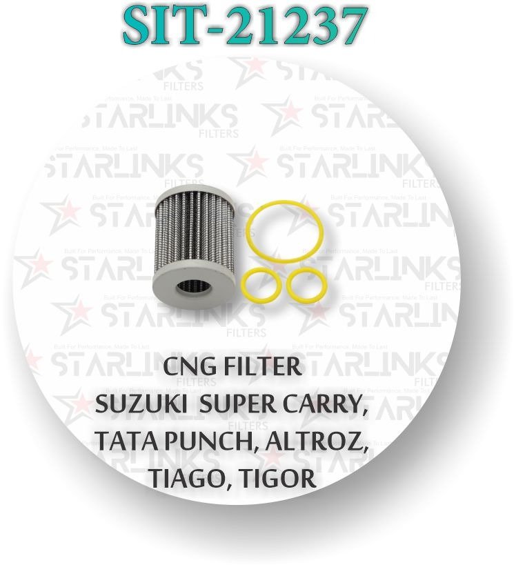 CNG FILTER FOR SUPER CARRY PUNCH ALTROZ TIAGO TIGOR